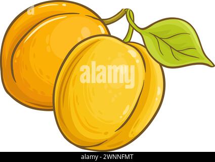 Fruit d'abricot avec feuilles illustration colorée Illustration de Vecteur