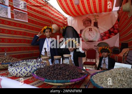 Sanaa, Sanaa, Yémen. 3 mars 2024. 03 mars 2024, Un vendeur yéménite expose des grains de café frais lors d'un festival de café moka yéménite. Malgré le conflit en cours au Yémen, le Festival du café yéménite, un événement annuel qui a lieu le 3 mars pour commémorer la Journée nationale de la culture du café, présente une exposition présentant une gamme variée de variétés de café. Le festival vise à rehausser le statut historique et national de cette culture cruciale et économiquement précieuse, en la positionnant comme un contributeur durable au développement économique du Yémen. En outre, le Festival sert de plate-forme pour co Banque D'Images