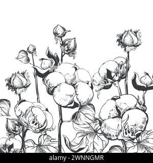 Esquisse vectorielle d'un champ de coton. Croquis à l'encre noire sur fond blanc. Feuilles et fleurs de coton, illustration détaillée d'une ferme en gravure St Illustration de Vecteur