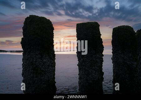 Paysage hollandais avec plage la province de Zeeland, pays-Bas Banque D'Images