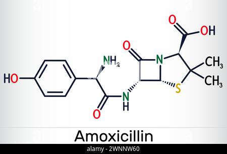 Molécule médicamenteuse d'amoxicilline. C'est un antibiotique bêta-lactame. Formule chimique squelettique. Illustration vectorielle Illustration de Vecteur