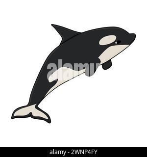 Orca ou orque, le plus grand membre de la famille des dauphins océaniques. Dessin animé vectoriel illustration dessinée à la main de l'animal en Antarctique. Polaire Illustration de Vecteur
