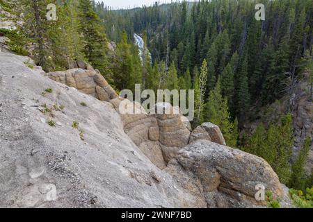 Virginia Cascade sur la rivière Gibbon dans un canyon dense boisé de pins dans le parc national de Yellowstone, Wyoming Banque D'Images