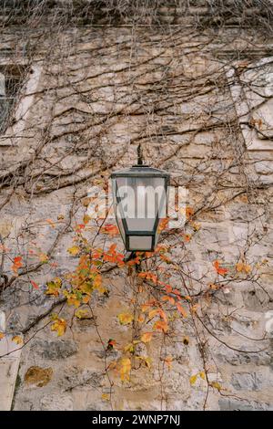 Lanterne accroche à une vieille maison en pierre tissée de branches de lierre Banque D'Images