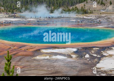 Les visiteurs du parc sur la promenade d'observation obtiennent une vue rapprochée de la Grand Prismatic Spring dans le Midway Geyser Basin du parc national de Yellowstone, Wyomin Banque D'Images