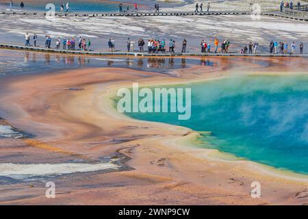 Les visiteurs du parc sur la promenade d'observation obtiennent une vue rapprochée de la Grand Prismatic Spring dans le Midway Geyser Basin du parc national de Yellowstone, Wyomin Banque D'Images