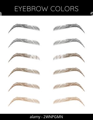 Illustration du tableau des couleurs des sourcils Illustration de Vecteur