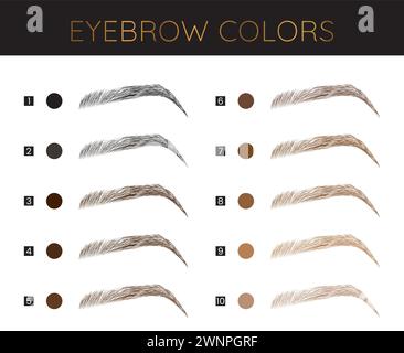 Sourcils Colors Chart mode Make Up illustration Illustration de Vecteur