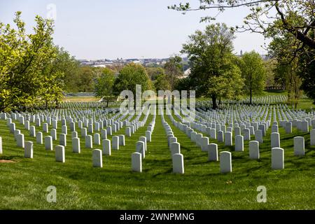 Le cimetière national d'Arlington, en particulier autour de la tombe du soldat inconnu, sont des collines verdoyantes couvertes de plus de 9600 espèces d'arbres. Banque D'Images