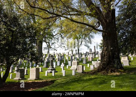 Le cimetière national d'Arlington, en particulier autour de la tombe du soldat inconnu, sont des collines verdoyantes couvertes de plus de 9600 espèces d'arbres. Banque D'Images