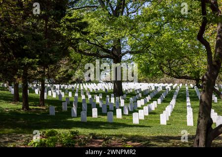 Le cimetière national d'Arlington, en particulier autour de la tombe du soldat inconnu, sont des collines verdoyantes couvertes de plus de 9600 espèces d'arbres. Banque D'Images