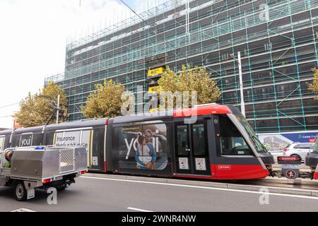 Train de tramway léger de Sydney CBD passant le long de Anzac Parade à Kensington, Sydney, NSW, Australie Banque D'Images