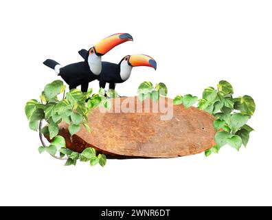 Planche de bois vintage avec branches de liane, feuilles tropicales, deux oiseaux toucan. Décor exotique avec planche de bois, plantes de la jungle et couple de toucan COP Banque D'Images