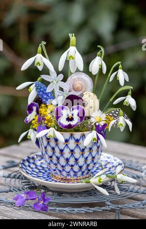 arrangement floral avec fleur d'alto pourpre, gouttes de neige et jacinthe de raisin dans une tasse en porcelaine vintage Banque D'Images