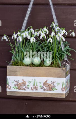 gouttes de neige dans une boîte en bois avec ornement de pâques suspendu dans le jardin Banque D'Images