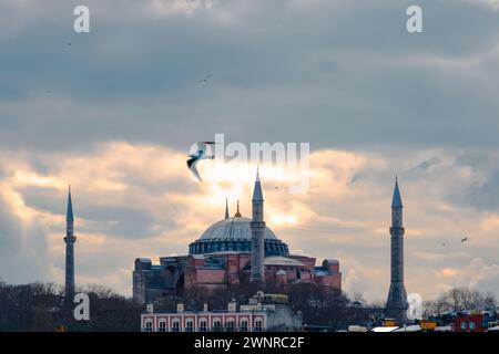 Sainte-Sophie et une mouette. Photo de fond de la mosquée Ayasofya. Visitez Istanbul concept. Ramadan ou arrière-plan islamique. Banque D'Images