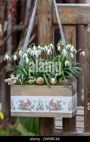 gouttes de neige dans une boîte en bois avec ornement de pâques suspendu dans le jardin Banque D'Images