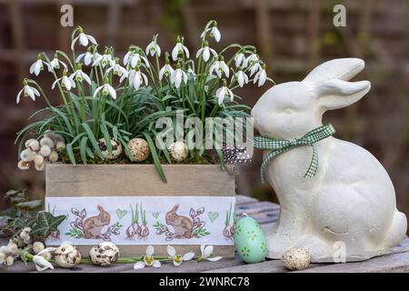 arrangement de pâques avec lapin de pâques et gouttes de neige dans une boîte en bois Banque D'Images