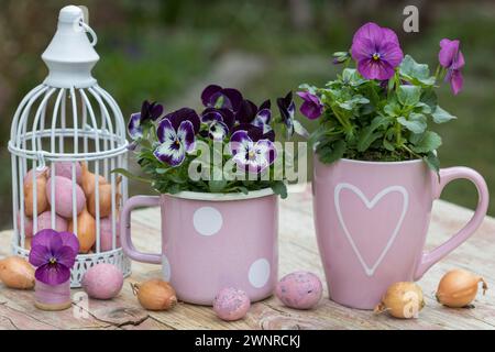 jardin de printemps avec fleurs d'alto violettes dans des tasses, œufs de caille et oignons Banque D'Images