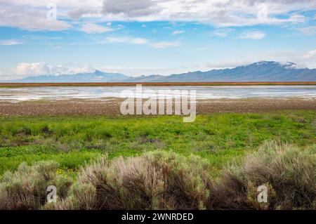 Antelope Island State Park, la plus grande île du Grand Lac Salé, Utah Banque D'Images