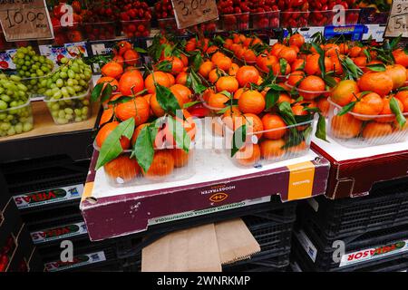 Raisins et mandarines en vente sur le marché couvert, Vintimille, Italie. Banque D'Images