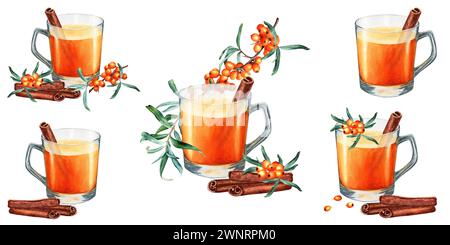 Un ensemble de tasses d'argousier de tee-shirt, des bandes roulées de cannelle et des branches avec des baies. Illustration aquarelle. Banque D'Images
