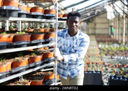 Un fleuriste afro-américain poussant un rack de chariot avec des plantes en pot dans une serre Banque D'Images