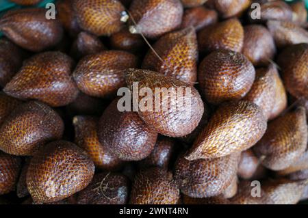 Fruits de salak mûrs (Salacca edulis ou Salacca zalacca) connus sous le nom de fruit de serpent ou fruit de peau de serpent. Banque D'Images