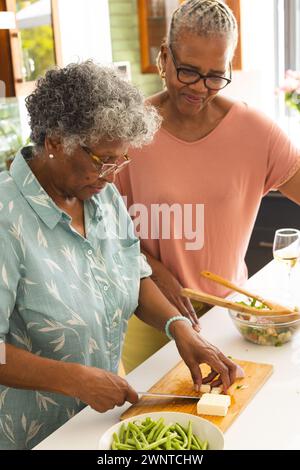 La femme afro-américaine sénior hache des légumes comme la femme biraciale sénior regarde avec un sourire Banque D'Images