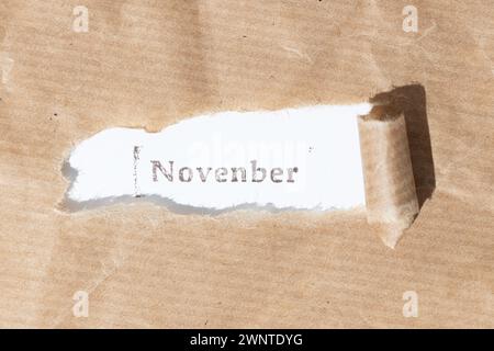 Bande déchirée de papier brun avec texte de timbre à encre novembre sur fond de papier blanc Banque D'Images