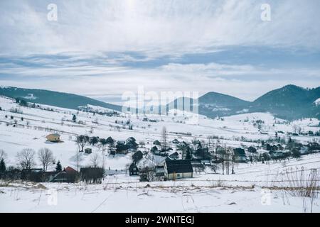 Hiver glacial dans les montagnes des Carpates avec des sapins couverts de neige. Panorama extérieur. Photo post-traitée de style artistique. Banque D'Images
