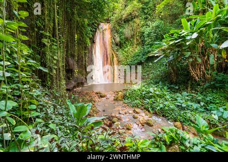 Diamond Waterfall et jardin botanique Soufrière, Sainte-Lucie, Antilles, Caraïbes orientales Banque D'Images