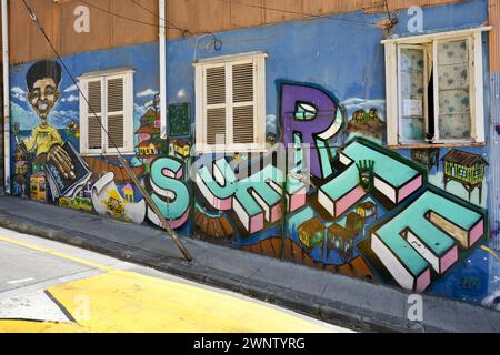 Art de rue peint sur les murs dans le quartier Paseo yougoslo de Valparaíso, Chili. Banque D'Images