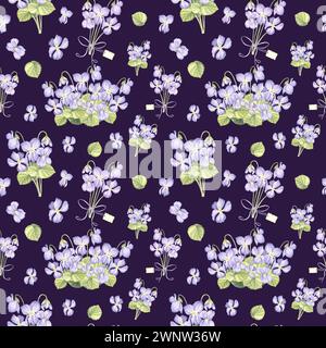 Modèle sans couture de violettes sauvages avec des feuilles vertes sur fond sombre. Illustration aquarelle dessinée à la main printemps fleur de pensée. Modèle pour Banque D'Images