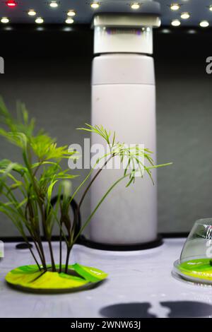 Lumineux, jeune, petite plante d'aneth poussant dans un jardin hydroponique intérieur douché de beaucoup de lumière. Banque D'Images