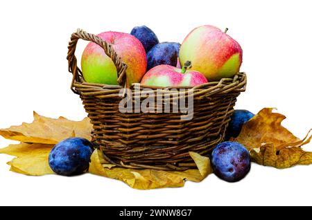 Fruits dans un panier en osier sur des feuilles jaunes d'automne, fond blanc isolé Banque D'Images