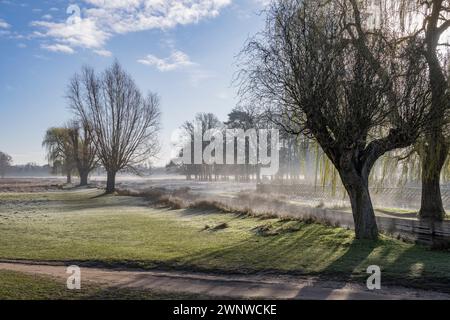 Le soleil du printemps se brise à travers la brume Banque D'Images