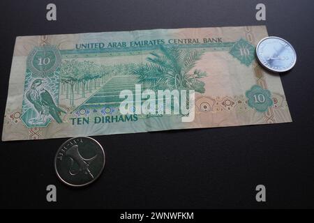 Les Émirats arabes Dirham arabe. Le code ISO AED est la monnaie officielle des Émirats arabes Unis. Dirham est subdivisé en 100 fils. Dirham l'était Banque D'Images