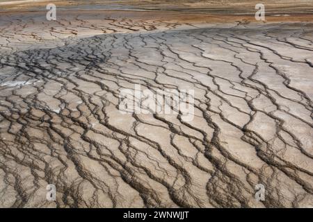 Un détail détaillé des motifs fascinants et complexes créés par l'activité géothermique dans Grand Prismatic Spring Overlook à Yellowstone Banque D'Images