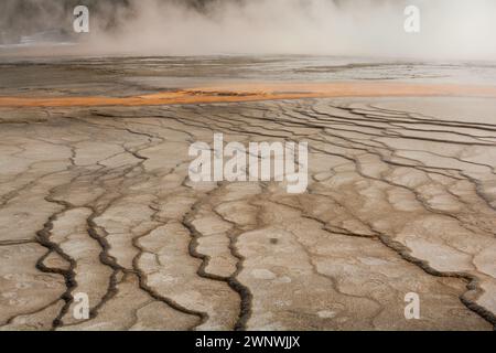 Un détail détaillé des motifs fascinants et complexes créés par l'activité géothermique dans Grand Prismatic Spring Overlook à Yellowstone Banque D'Images