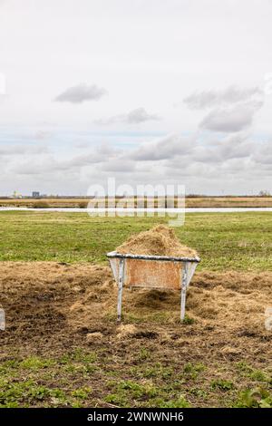 Une mangeoire remplie de foin se trouve dans un champ sur l'île Goeree-Overflakkee au sud-ouest des pays-Bas. Banque D'Images