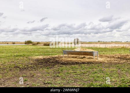 Une mangeoire remplie de foin se trouve dans un champ sur l'île Goeree-Overflakkee au sud-ouest des pays-Bas. Banque D'Images