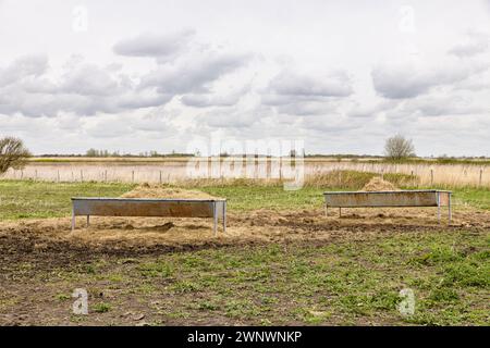 Deux mangeoires remplies de foin se trouvent dans un champ sur l'île Goeree-Overflakkee au sud-ouest des pays-Bas. Banque D'Images