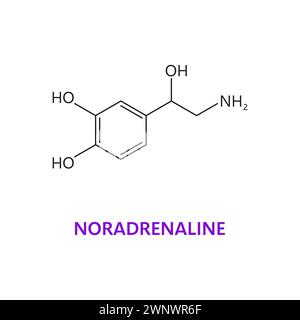 Neurotransmetteur, formule chimique et structure moléculaire de la noradrénaline, molécule vectorielle. Noradrénaline ou hormone noradrénaline et neurotransmetteur dans le neuromodulateur du corps humain ou du système nerveux Illustration de Vecteur