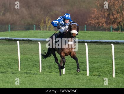 Est-ce qu'il sait avec la Grimthorpe Chase à l'hippodrome de Doncaster le samedi 4 mars 2024 Banque D'Images