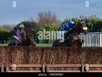 Est-ce qu'il sait avec la Grimthorpe Chase à l'hippodrome de Doncaster le samedi 4 mars 2024 Banque D'Images