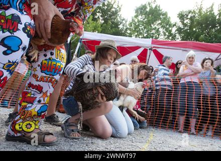 06/08/16 ***AVEC LA VIDÉO*** les foules encouragent les poules alors qu'elles concourent au Championnat du monde de courses de poules devant le pub Barley Mow à Bonsall près de Matlo Banque D'Images