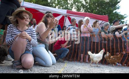 06/08/16 ***AVEC LA VIDÉO*** les foules encouragent les poules alors qu'elles concourent au Championnat du monde de courses de poules devant le pub Barley Mow à Bonsall près de Matlo Banque D'Images