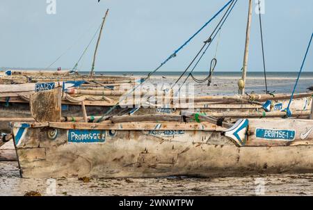 Un bateau traditionnel en bois à balançoire en bois s'est arrêté sur la plage de Jambiani, Zanzibar, Tanzanie. Banque D'Images