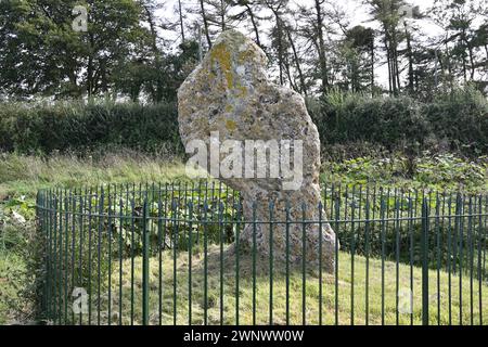 King Stone à Rollright Stones sur Oxfordshire & Warwickshire frontière Royaume-Uni Banque D'Images